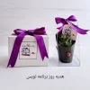 پک هدیه برنامه نویس