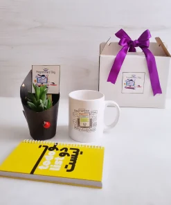 هدیه روز برنامه نویس