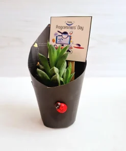 هدیه روز برنامه نویس